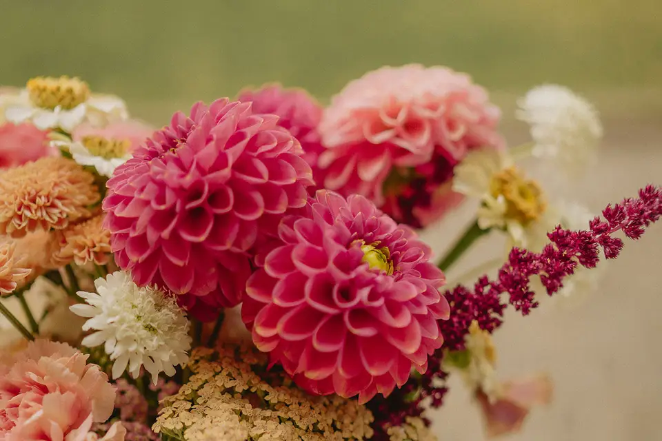 Le Labo Fleuri — photo 1