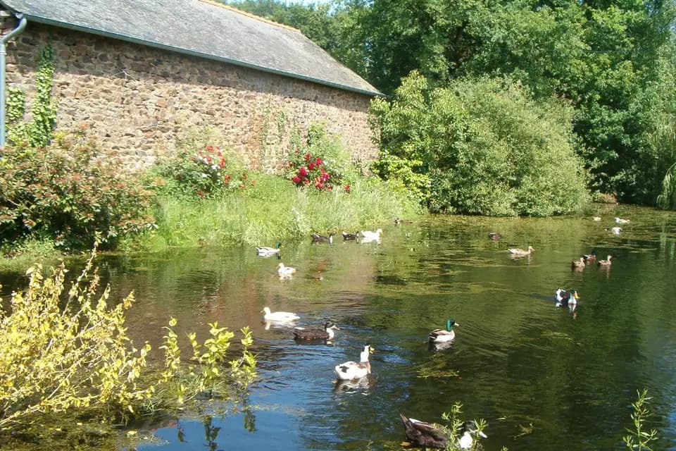 La Demeure D'Ogust — photo 7