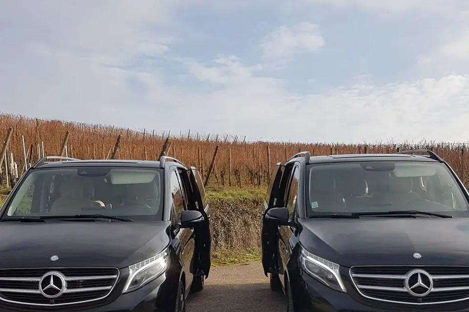 Myautomédon — photo 2