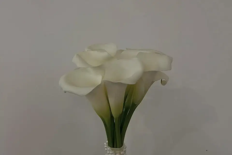 Mimoza Fleuriste — photo 6