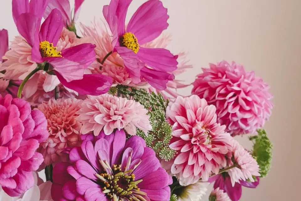 Dahlia Club — photo 7