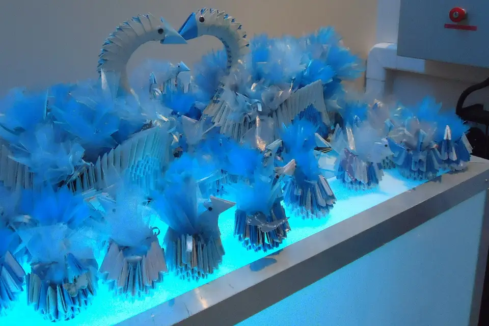 Destiny Light — photo 1