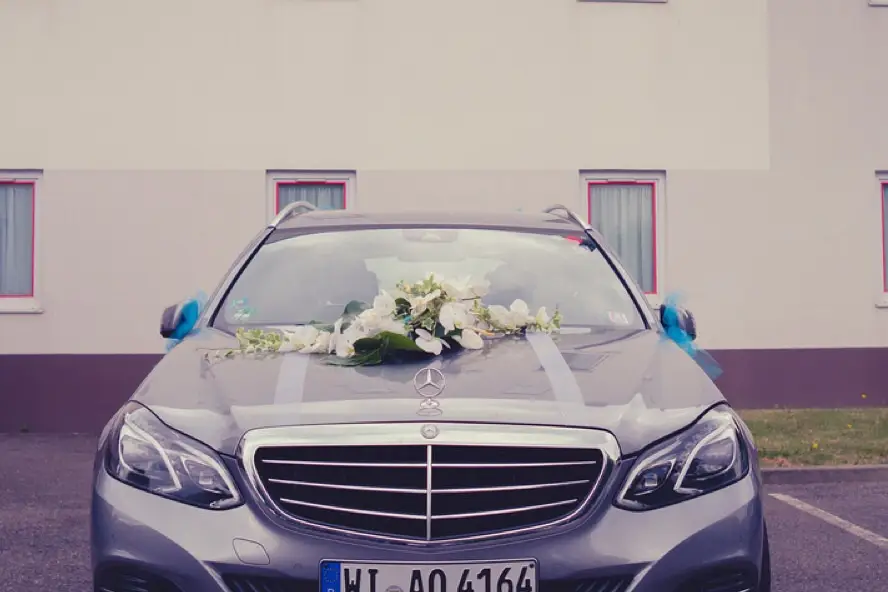 Destiny Light — photo 4