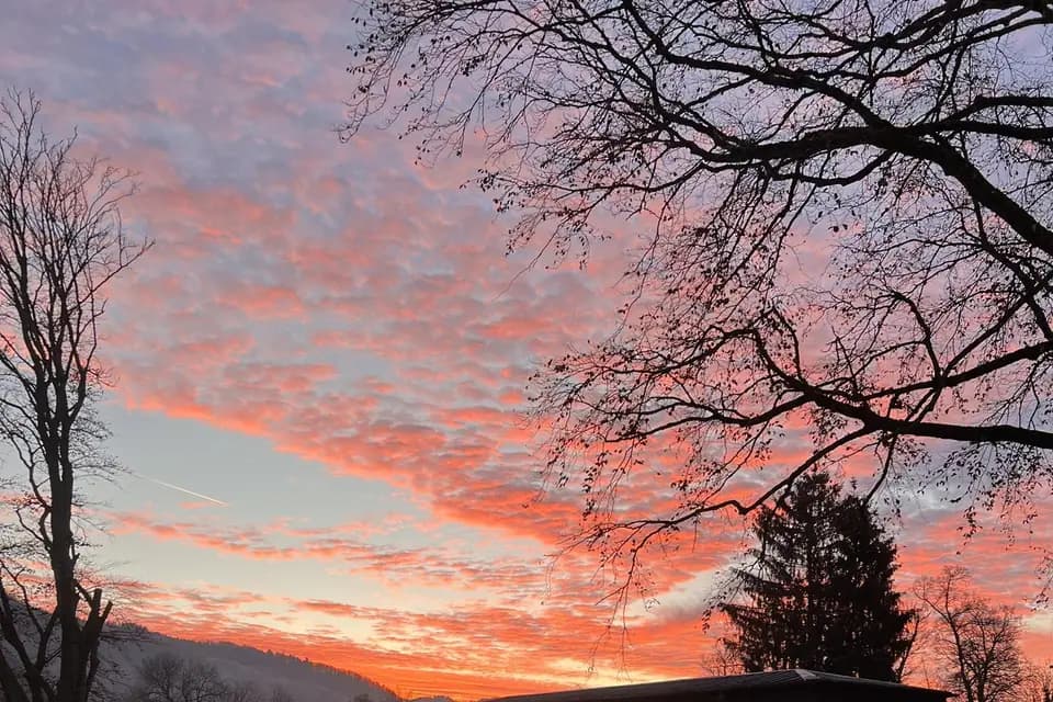 La Villa des Hêtres Pourpres — photo 6