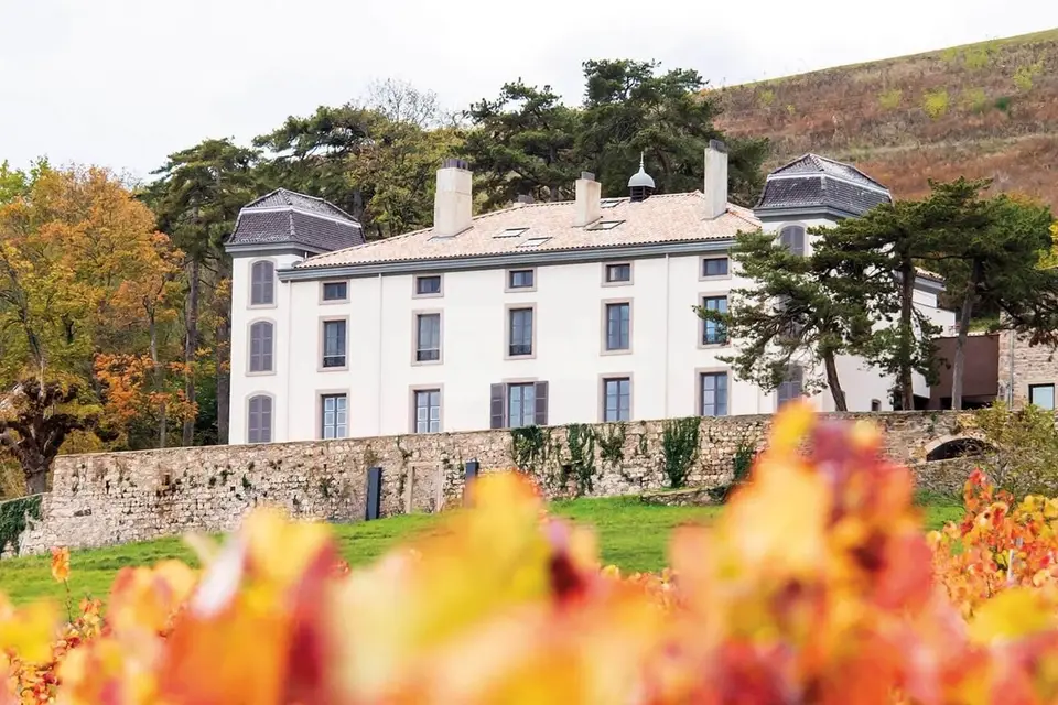 Château du Souzy — photo 6