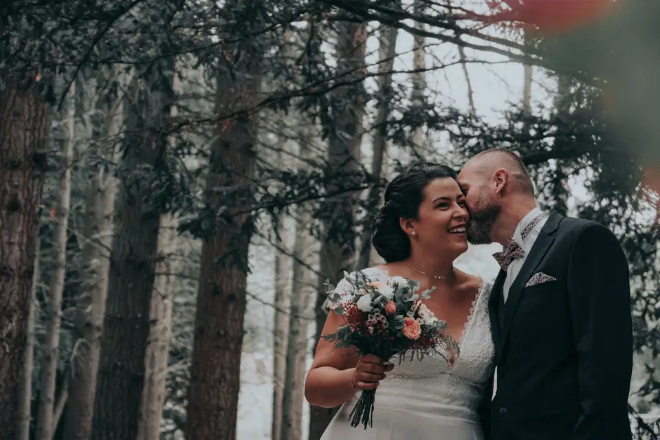 My Wild Studio — photo 2