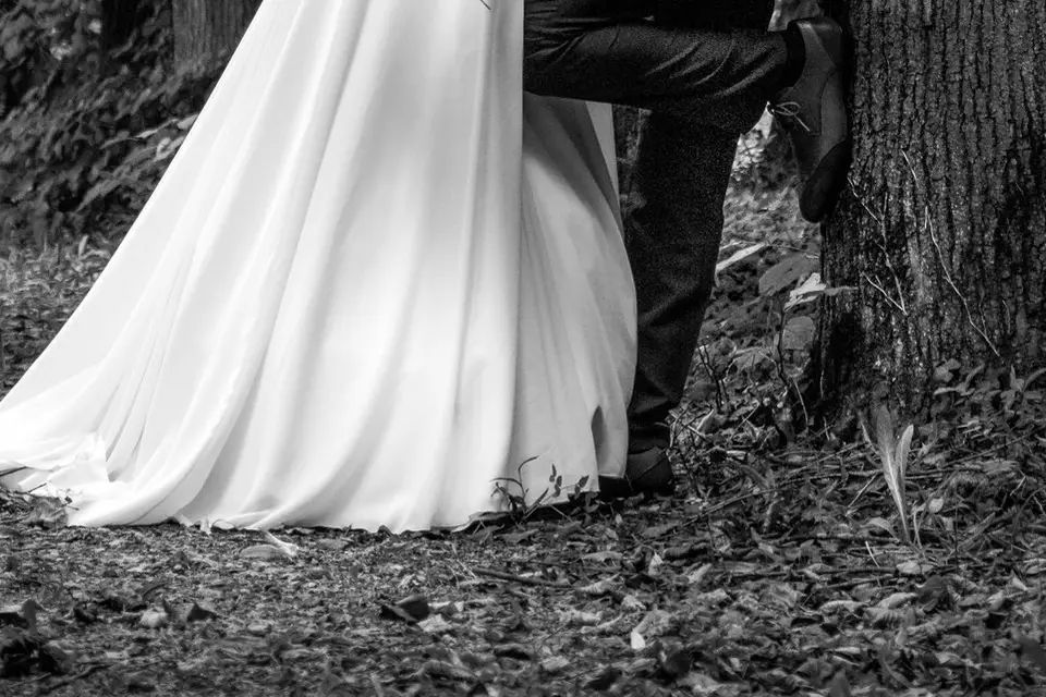 My Wild Studio — photo 8