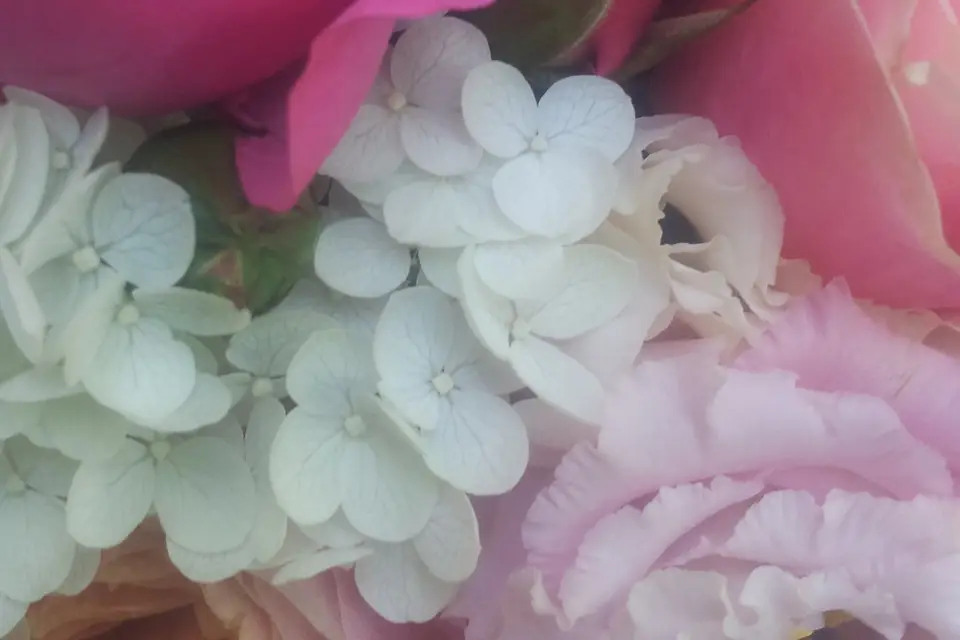 France Roche Fleuriste — photo 2