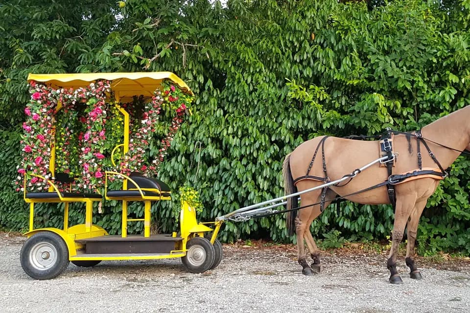 Hop'n'Trot — photo 4