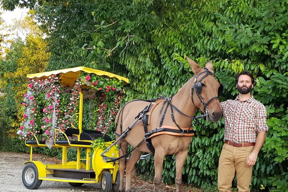 Hop'n'Trot — photo 3