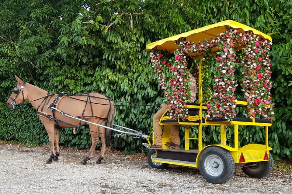 Hop'n'Trot — photo 1