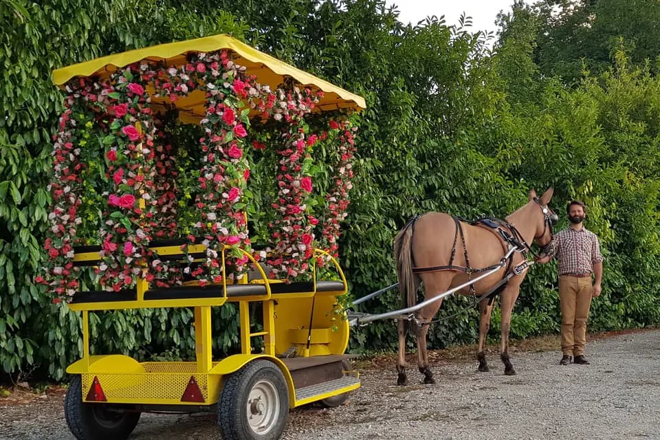 Hop'n'Trot — photo 2