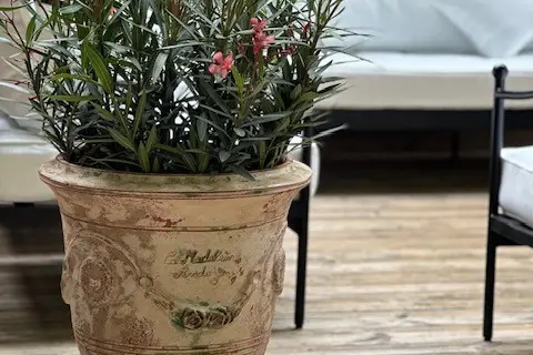 Argenson — photo 6