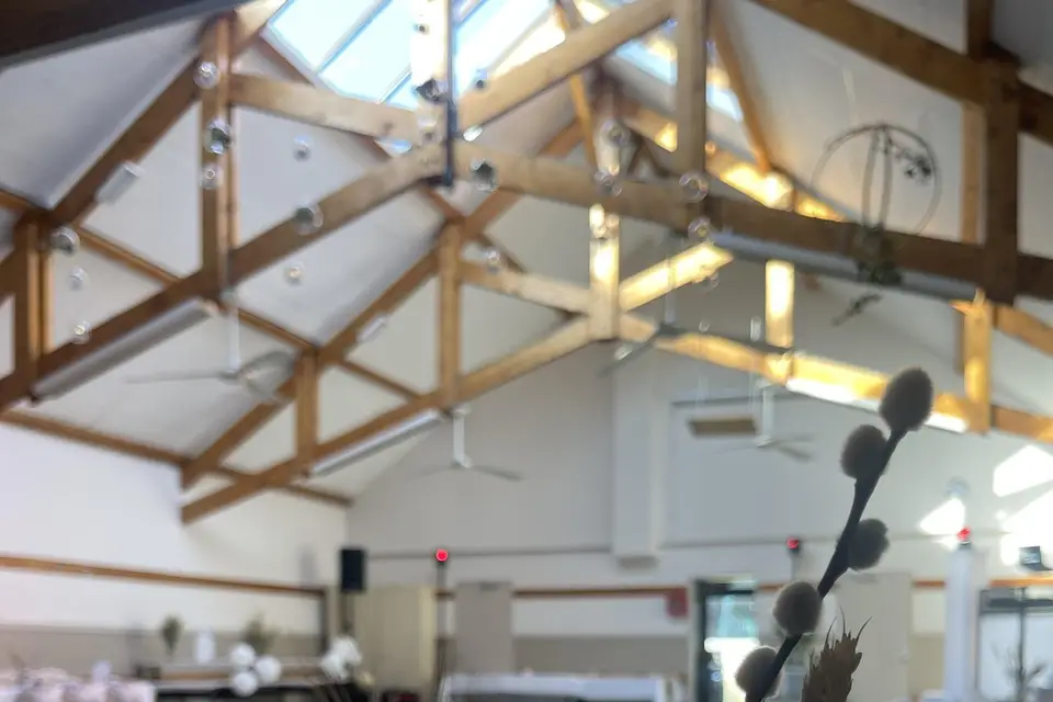 Dj CapYann — photo 7