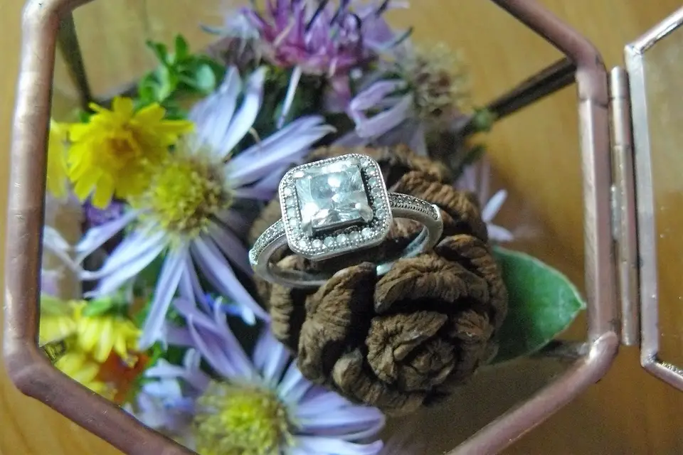 La Malle Enchantée — photo 3