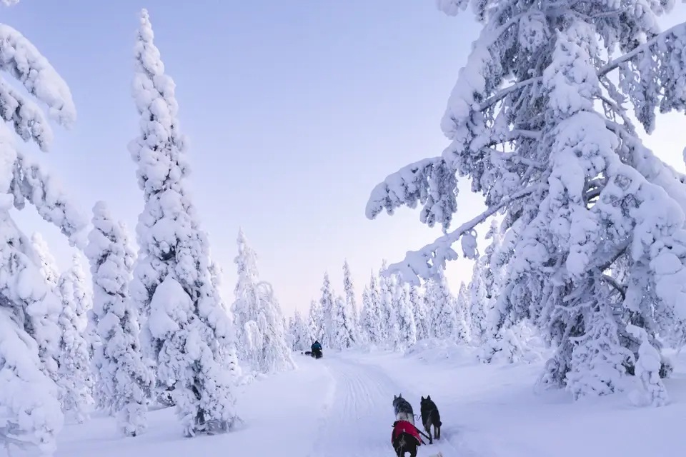 Oceane Tips Voyage — photo 4