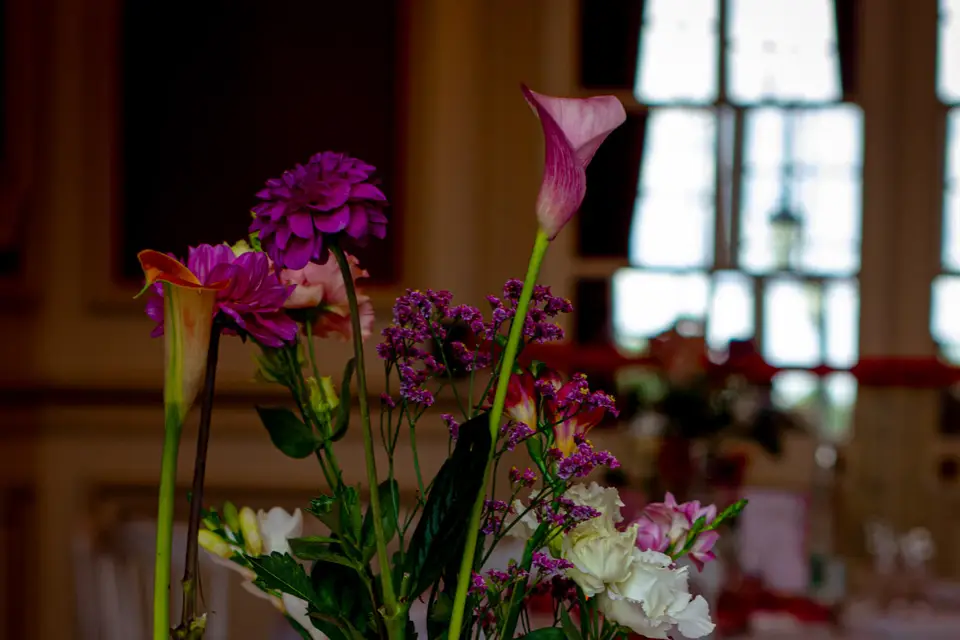 Djet7 Events — photo 6