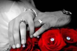 Videobusters — photo 4