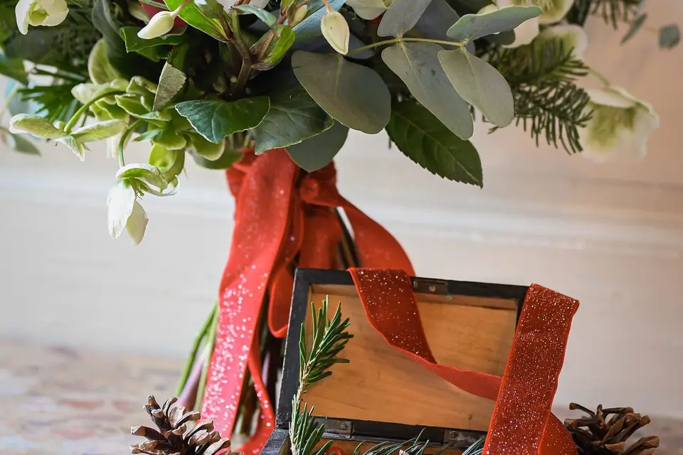 Hellebores et Mandragores — photo 8