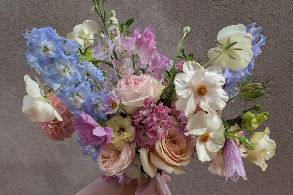 Hellebores et Mandragores — photo 3