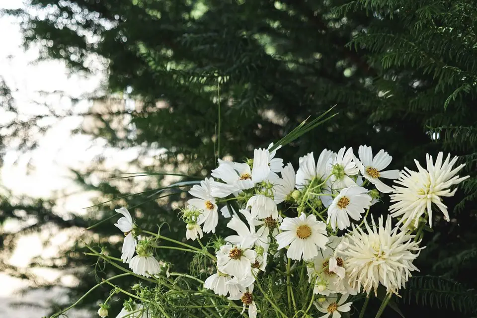 Château de la Romiguière — photo 8