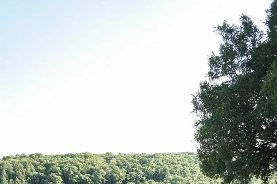 Château de la Romiguière — photo 5