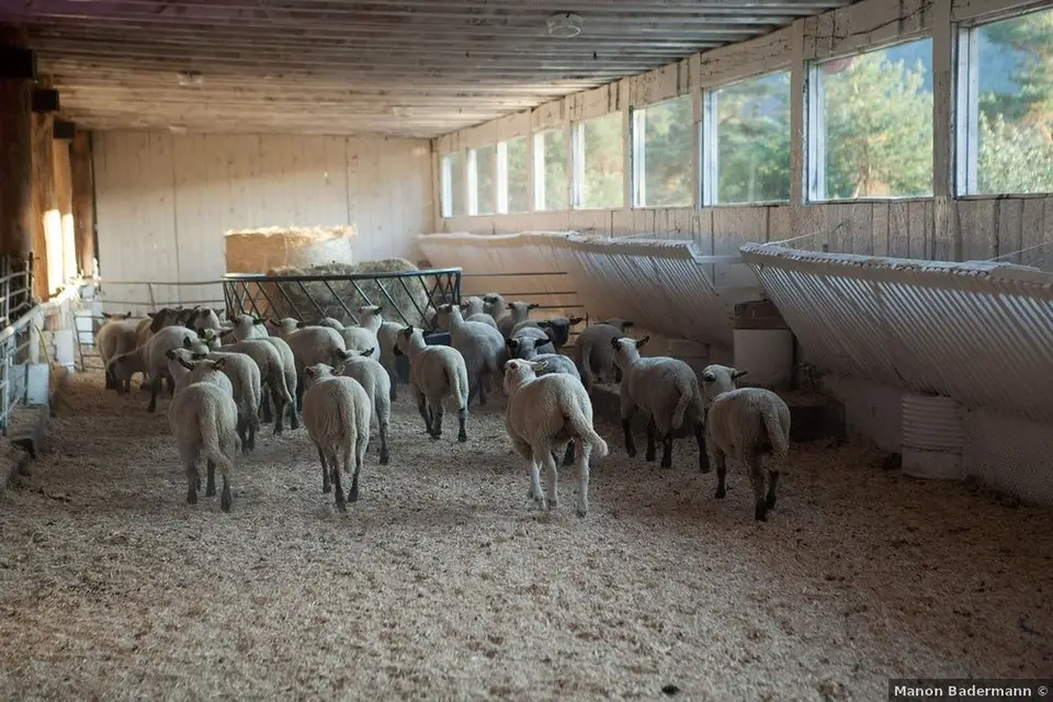 Bergerie Lémalou 'Bin — photo 5