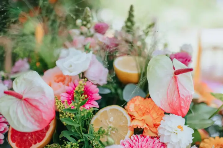 Sajely Events — photo 5