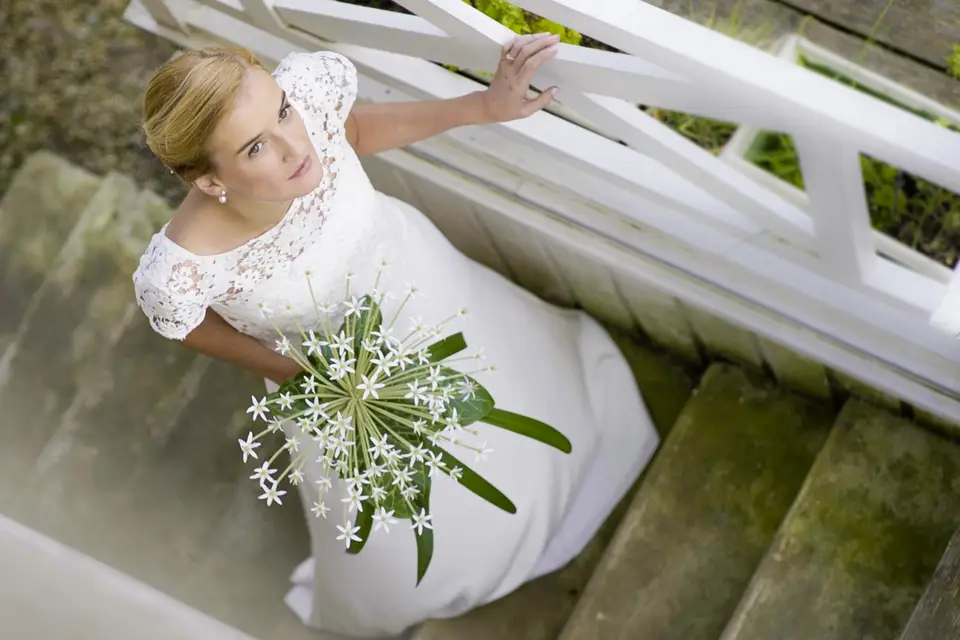 Silvartfilms — photo 1