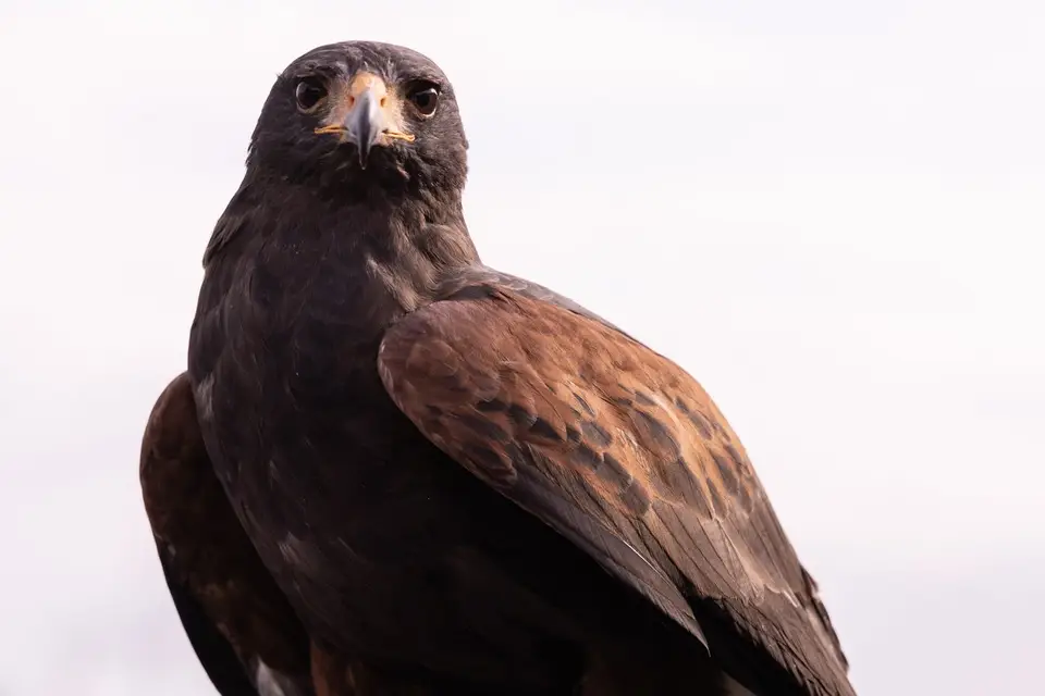 Wedding Riviera Agency — photo 3