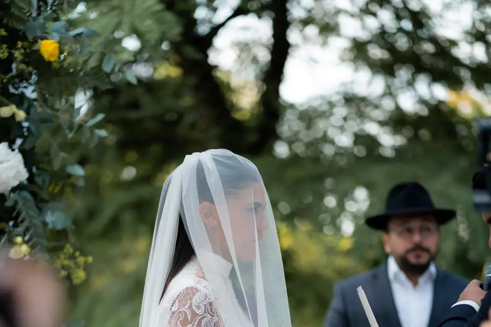 Alv-Production — photo 4