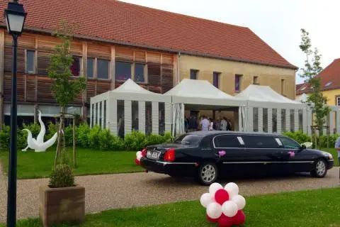 Fabrice Trehoux — photo 1