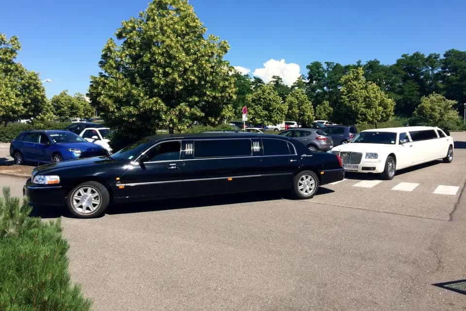 Fabrice Trehoux — photo 3