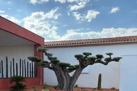 Salle Ojasmin — photo 4