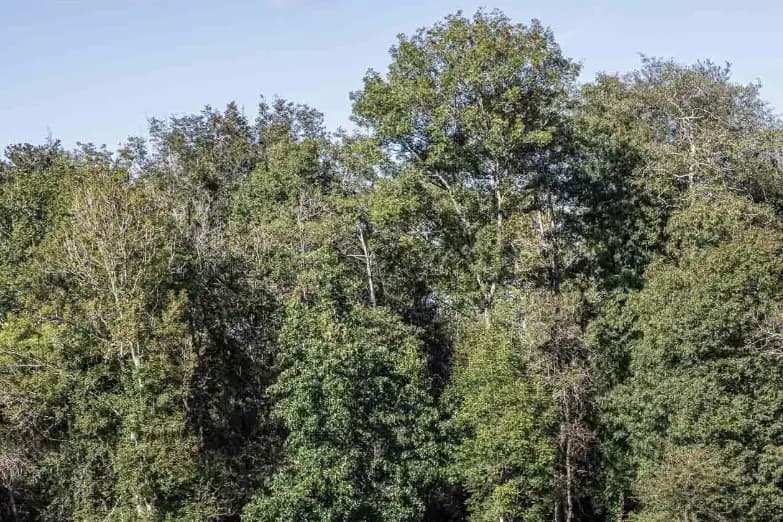 Domaine de la Felicità — photo 6