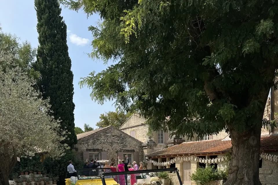 Puravida-Motors — photo 1