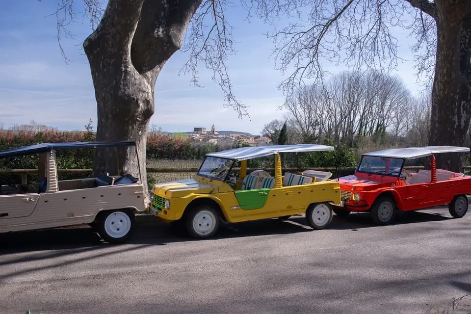 Puravida-Motors — photo 7