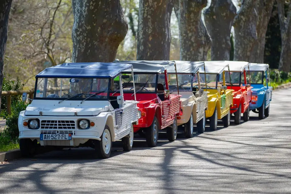 Puravida-Motors — photo 2