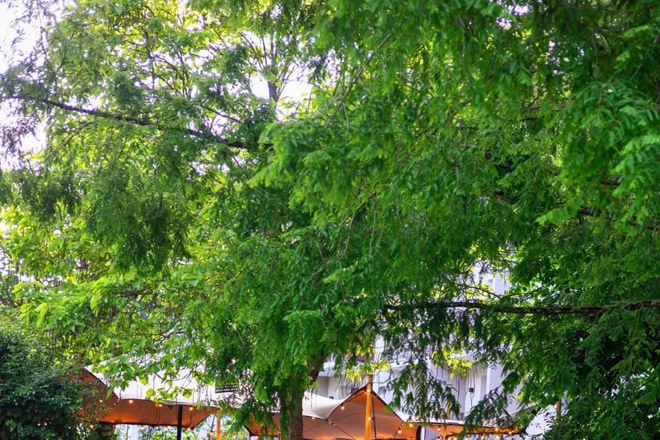 Maison Jenny — photo 2