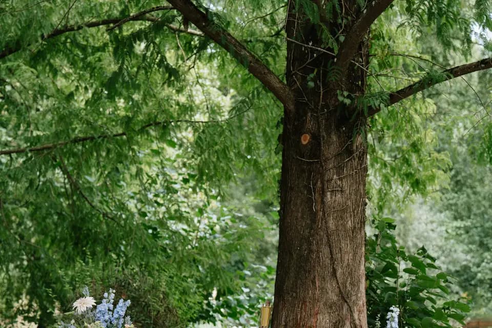 Maison Jenny — photo 6