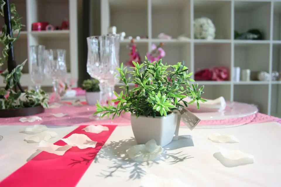 DécoTABLE — photo 4