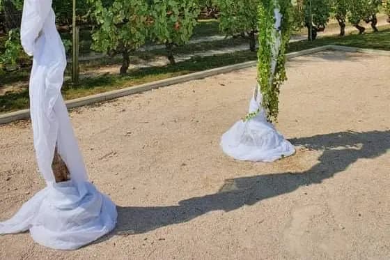 Charlotte Jonquard — photo 3