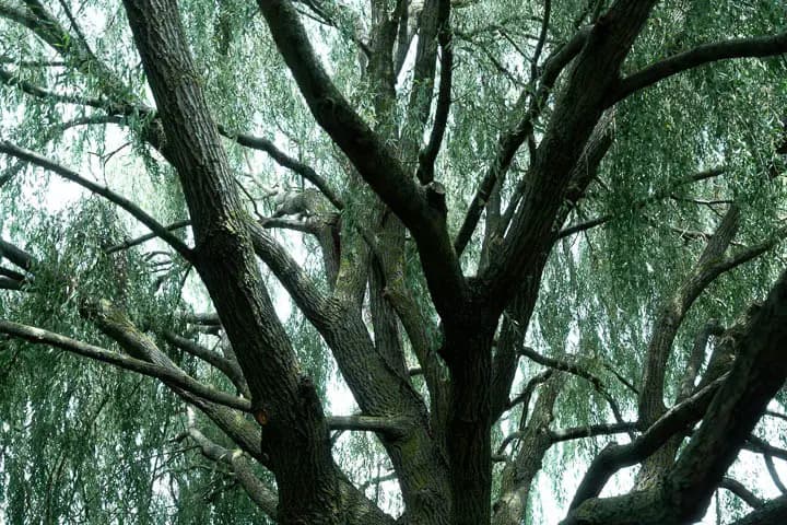 Sun Production — photo 4