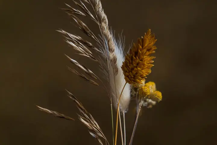 Sun Production — photo 2