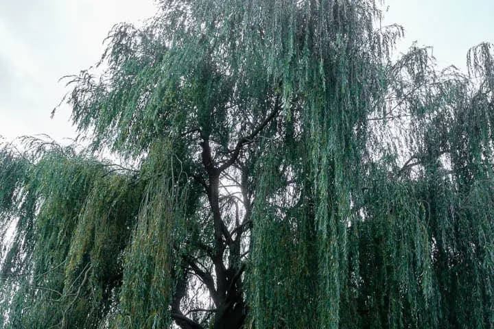 Sun Production — photo 6