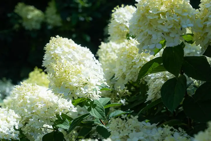 Sun Production — photo 8