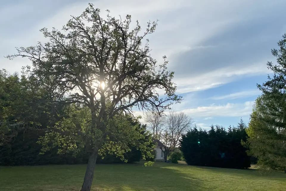 Domaine des Maries — photo 3