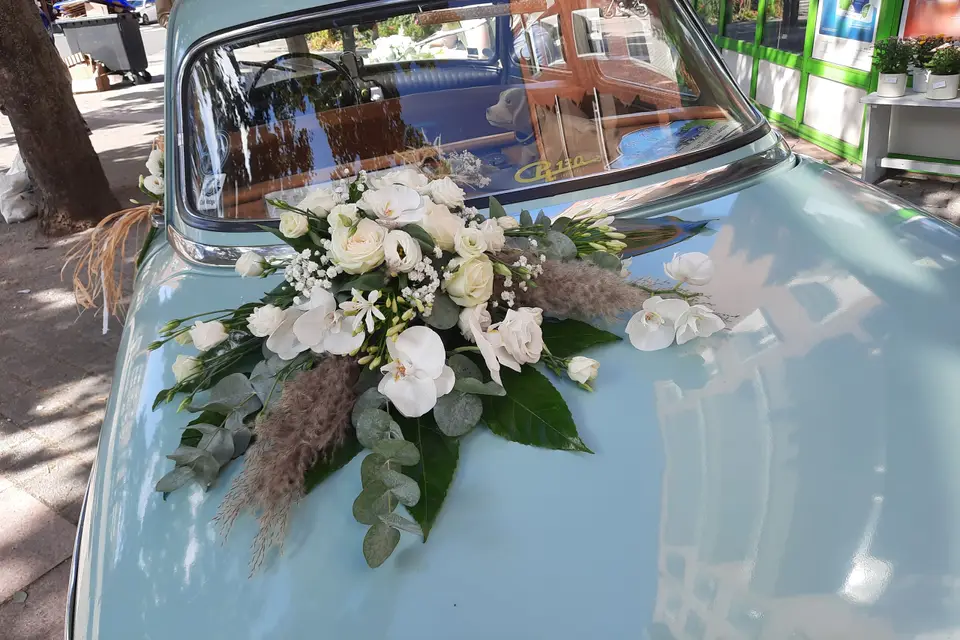 Rêve Passion — photo 2