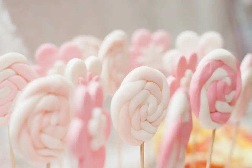 Le rêve d'Eli — photo 8