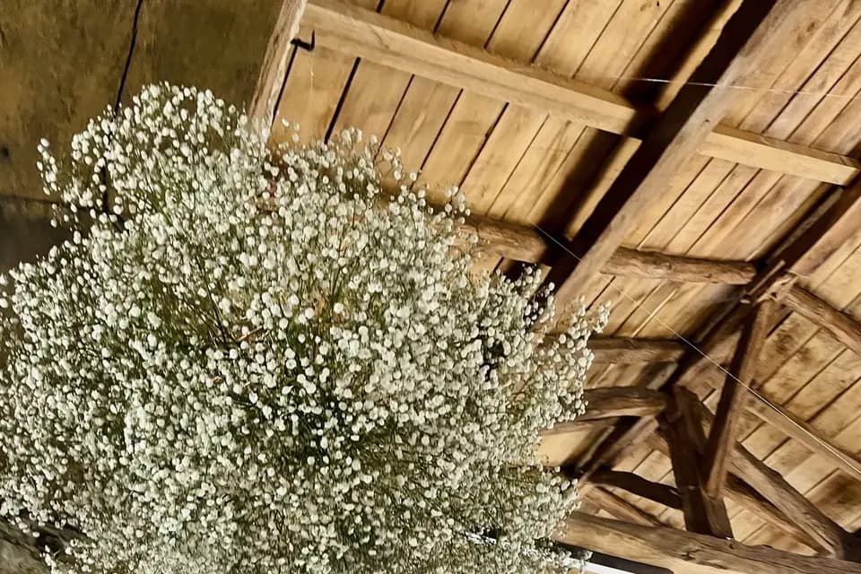 Maison aux Fleurs — photo 1